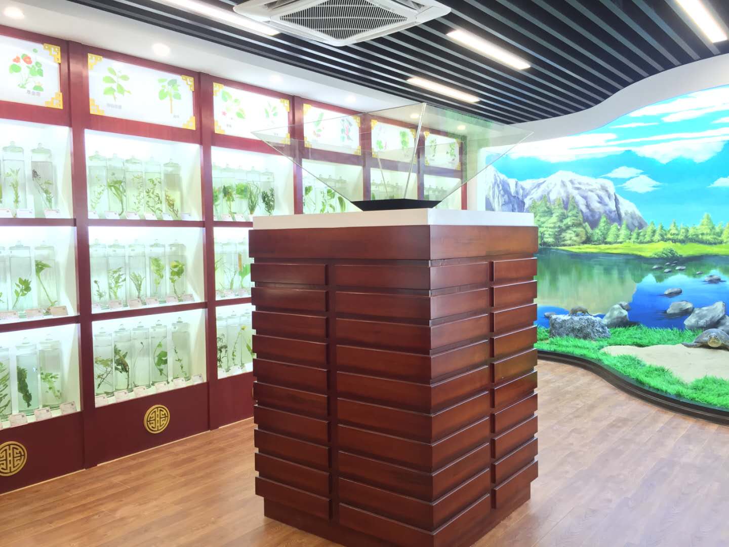 3d全息展示柜怎么这么受欢迎